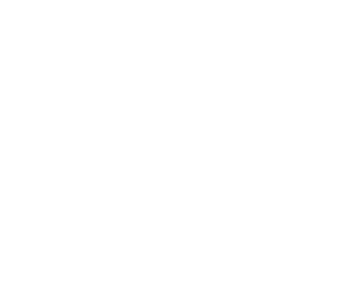 brooklyn diner logo