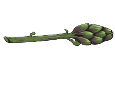 Esther's Kitchen
