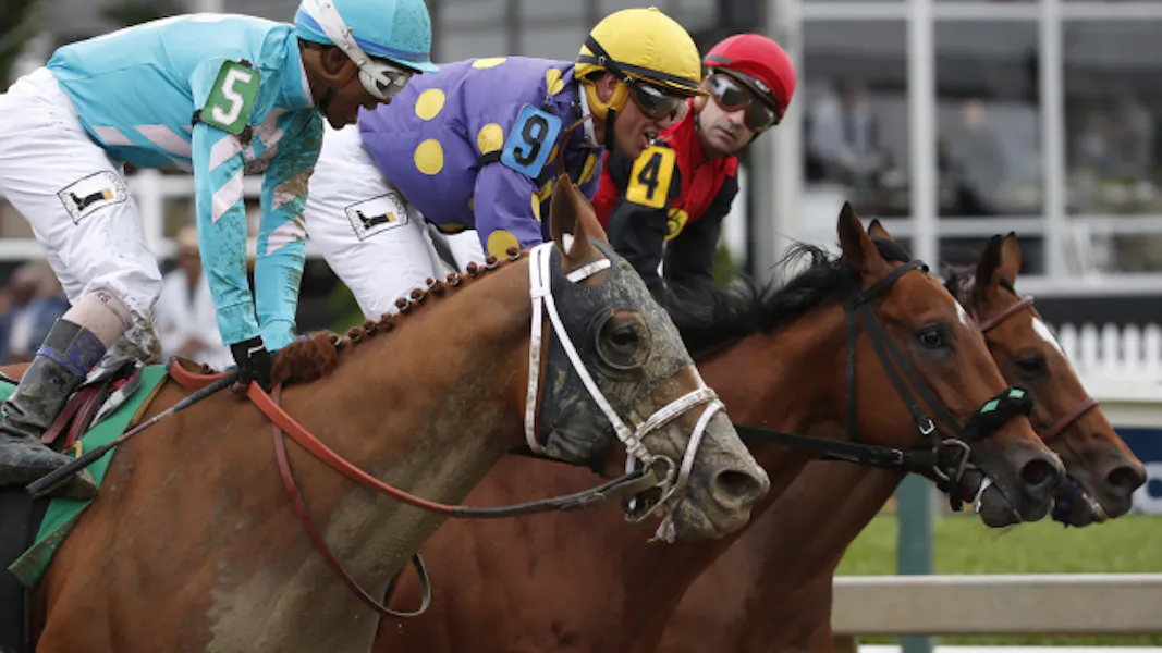 The Preakness Stakes | The Kent Ale House