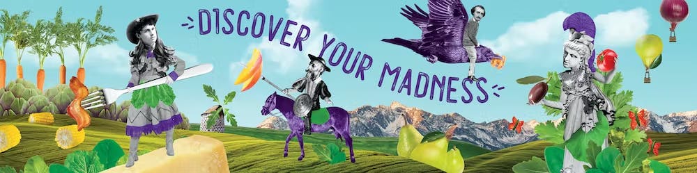 a bird flying in the sky