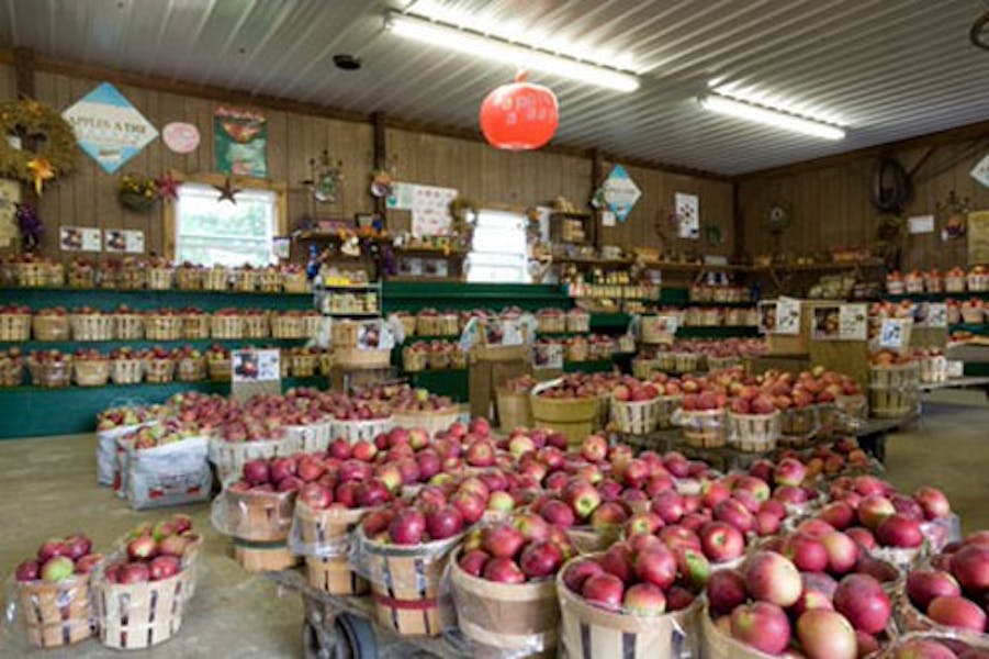 Apple Barn Lakeside Farms in Ballston Lake, NY