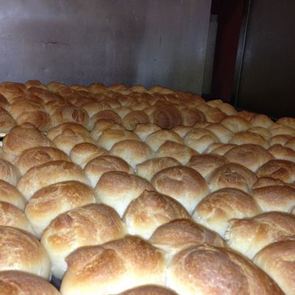 Homemade Garlic Knots (12)