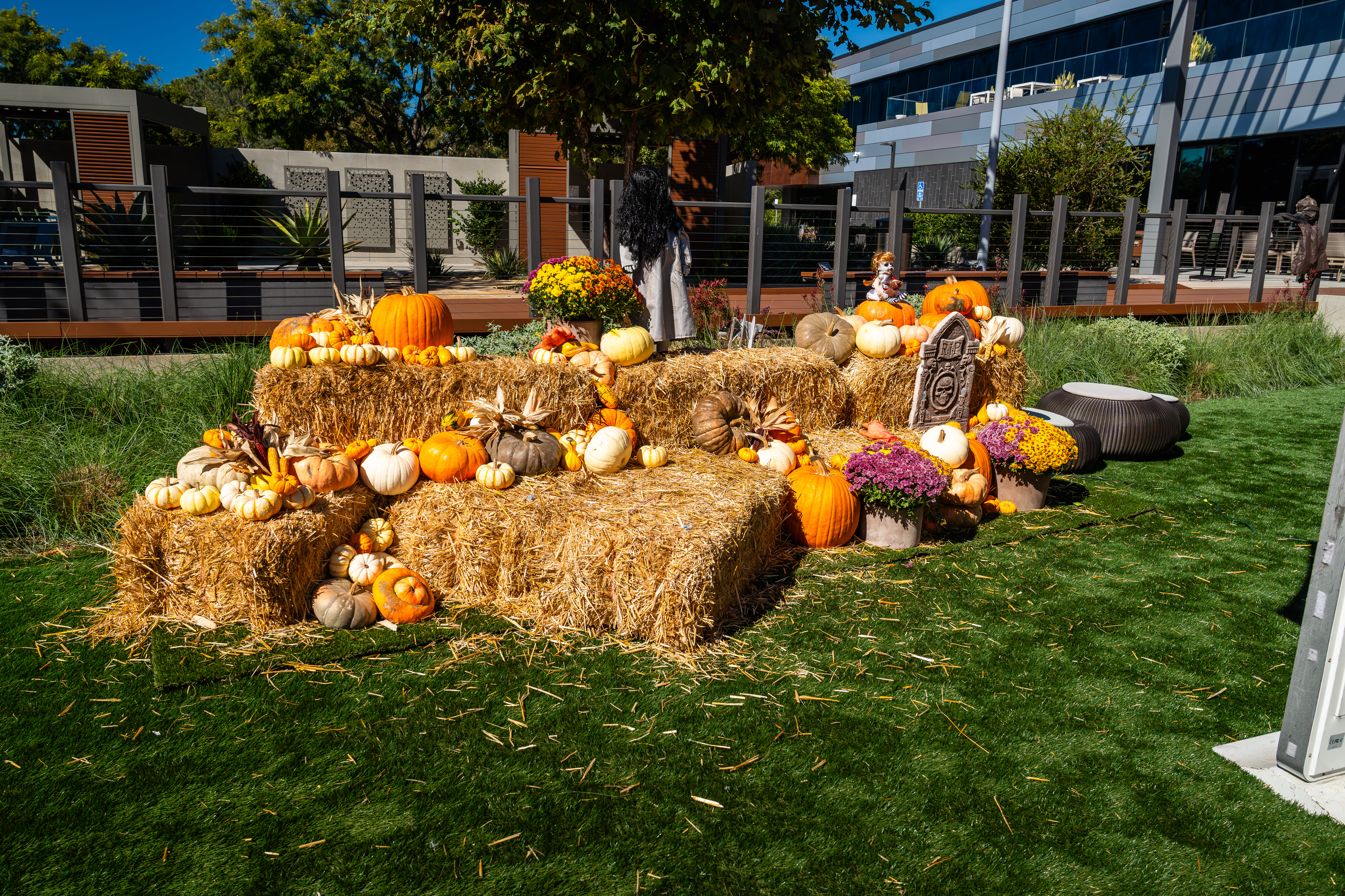 Seasonal pumpkin display on the lawn at a themed Joya Kitchen event.