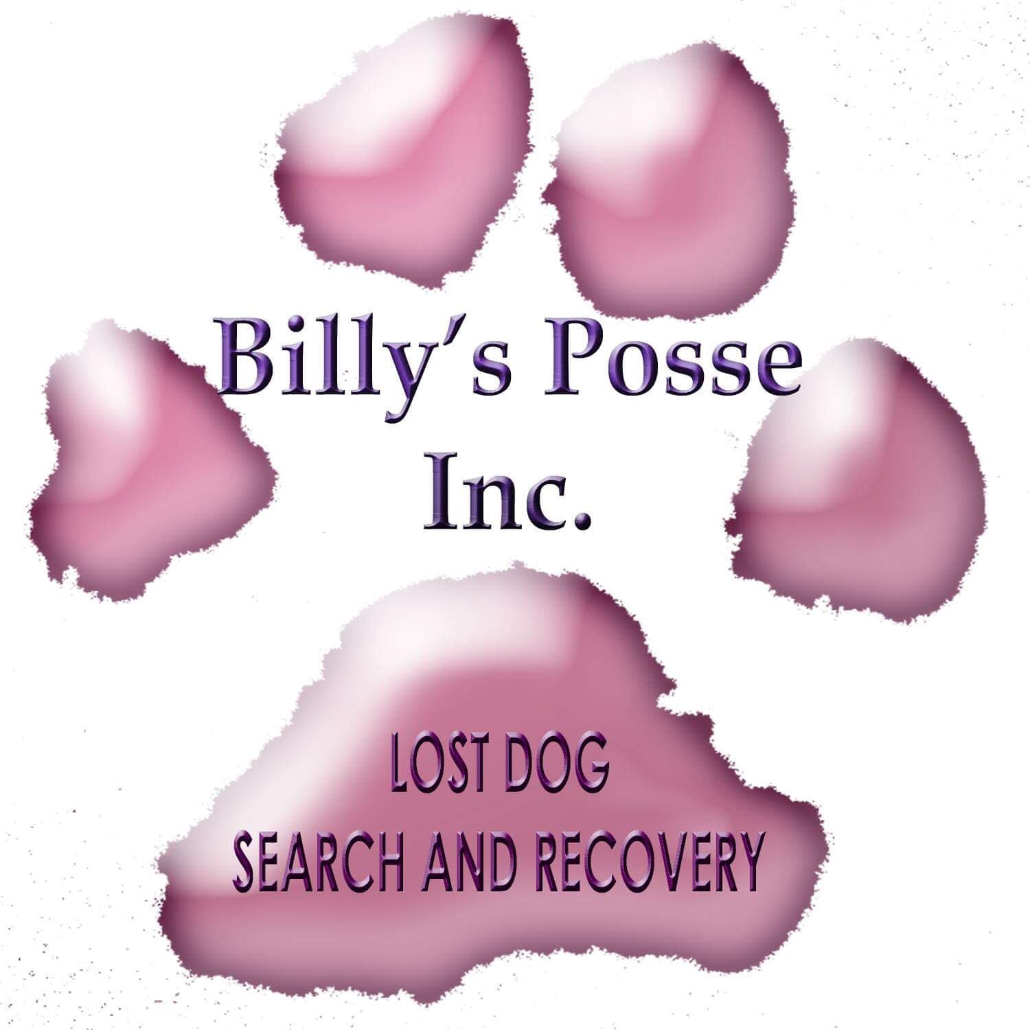 Billy's Posse, Inc.
