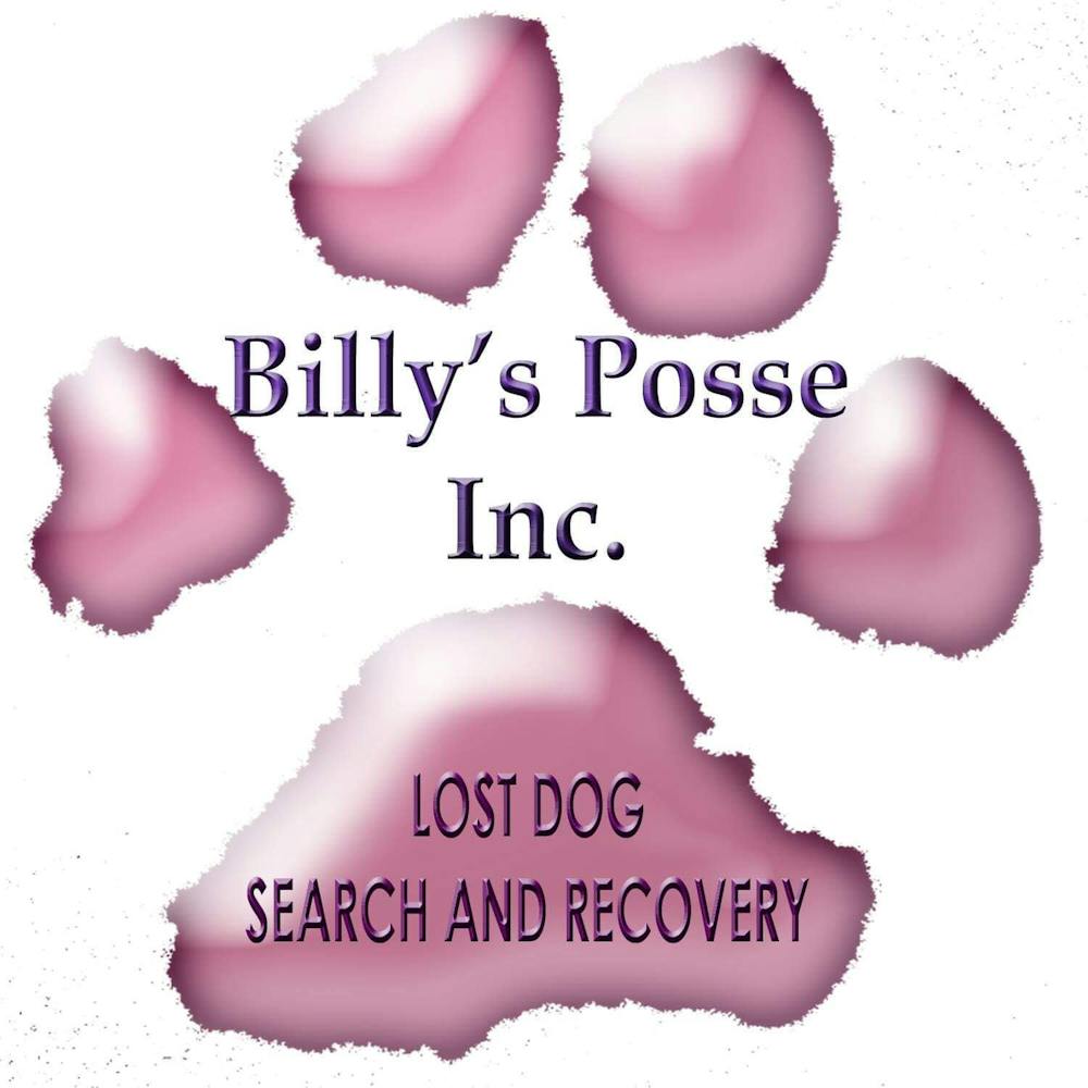 Billy's Posse, Inc.