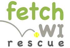 Fetch WI