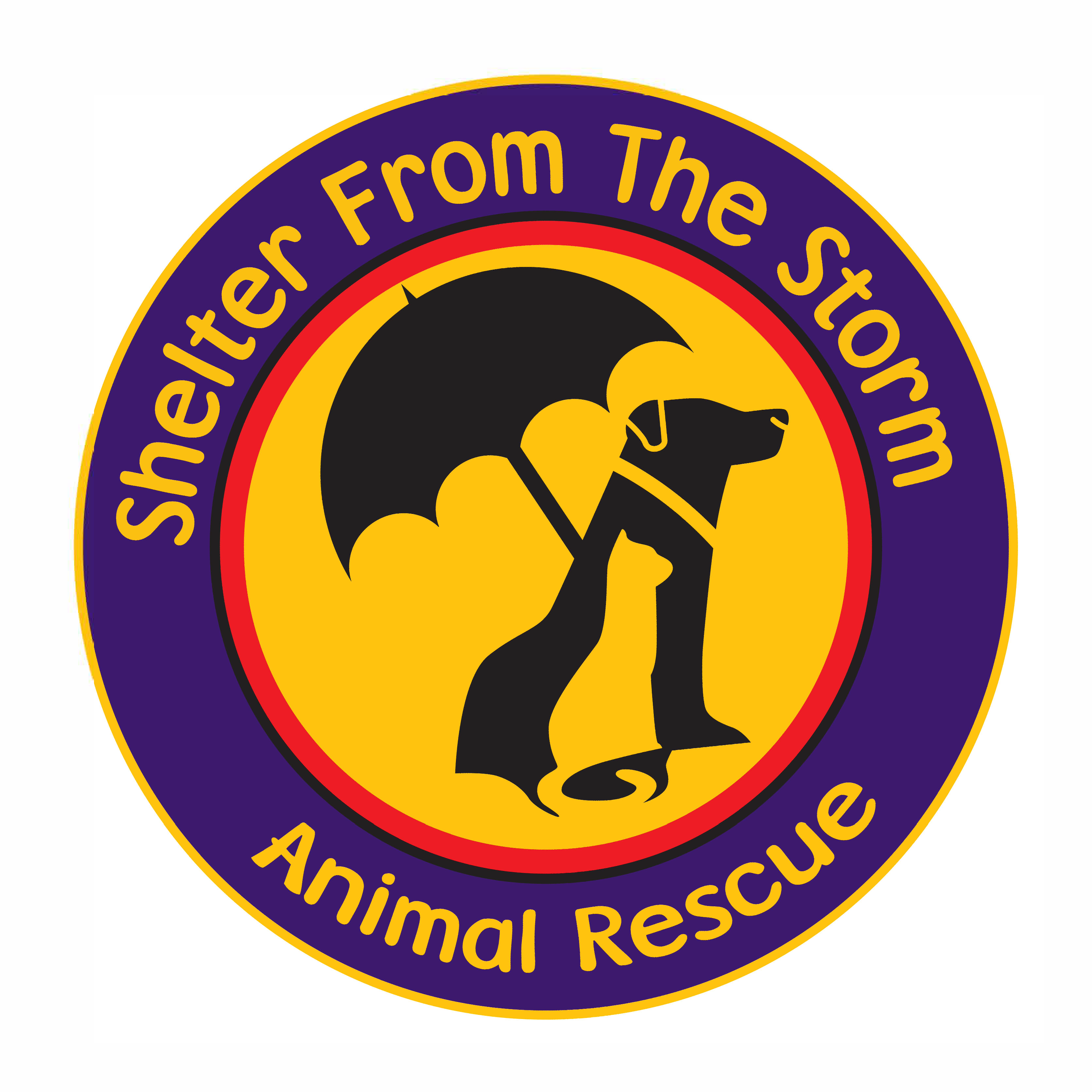 Shelter from the Storm