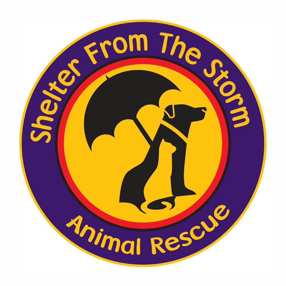 Shelter from the Storm