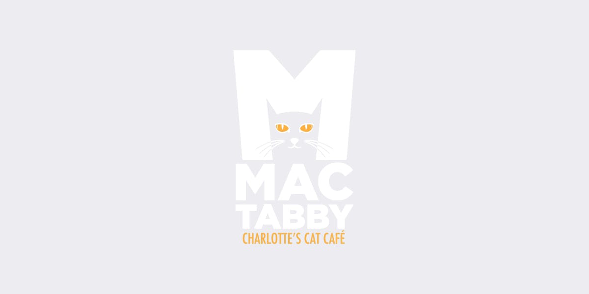 Mac Tabby Cat Cafe Charlotte S First Cat Cafe Located In The