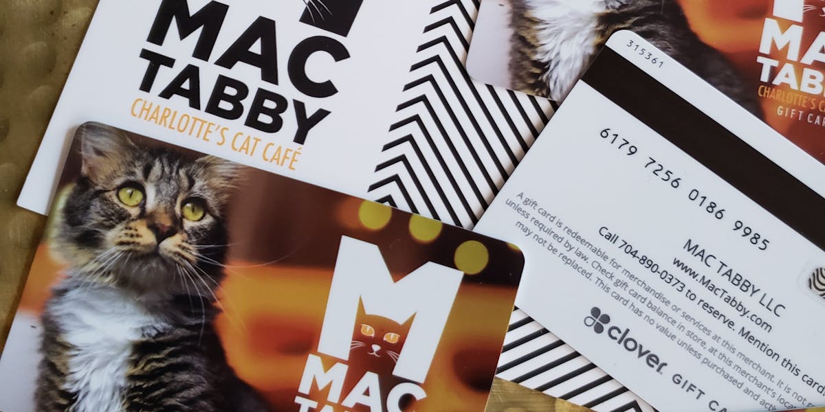 Buy a Gift Card Mac Tabby Cat Cafe in Charlotte, NC