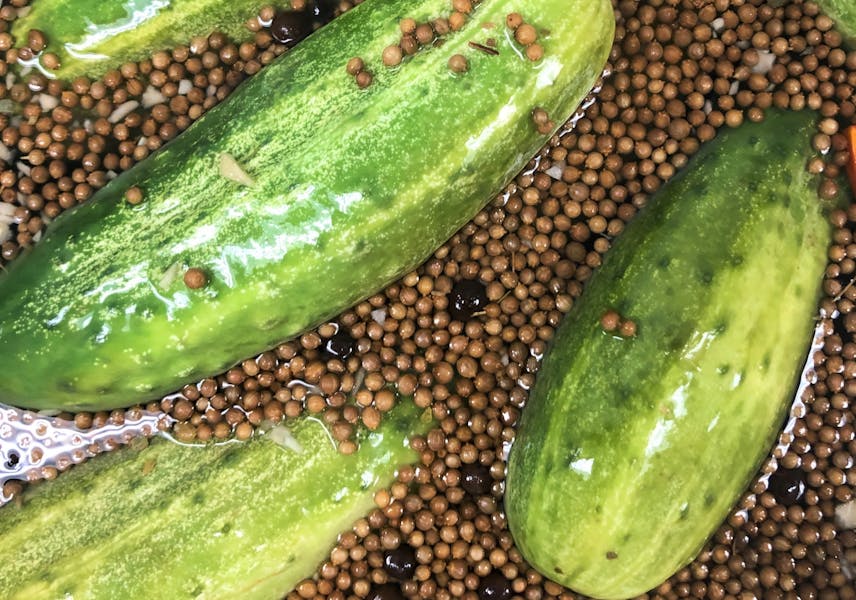 Our Products Topor's Pickle Company in Detroit, MI