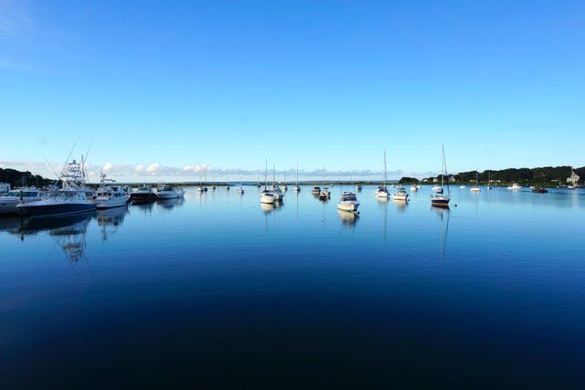 green point yacht club