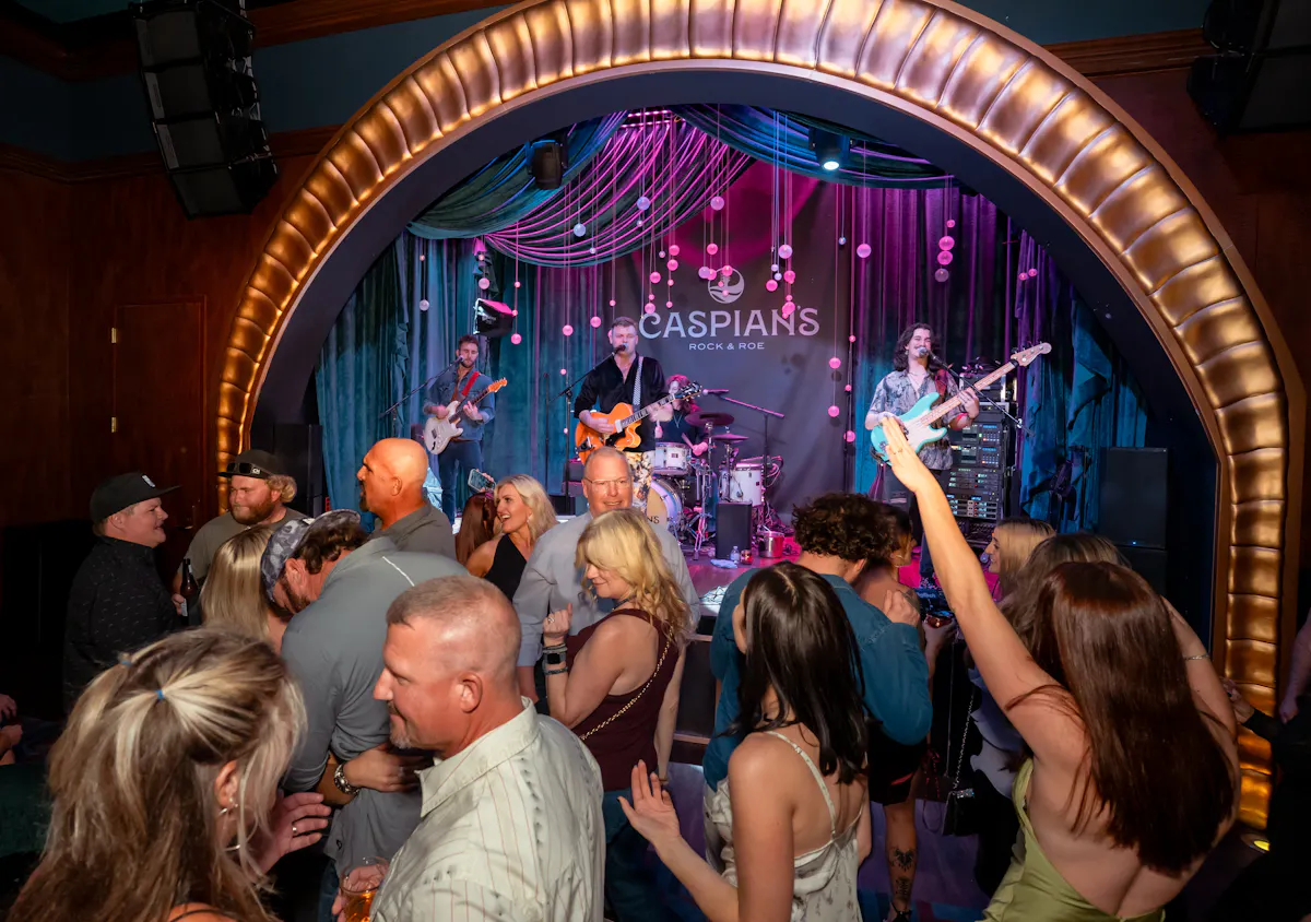 a group of people at a concert