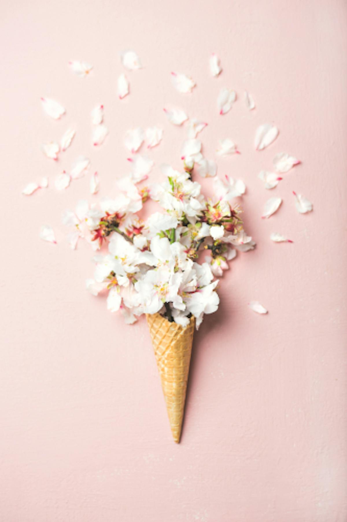 flowers in ice cream cone