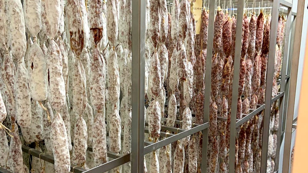 Ein Bild, das die verschiedenen Wachstumsstadien des Schutzschimmels auf der Salami von il porcellino zeigt.'s salami.