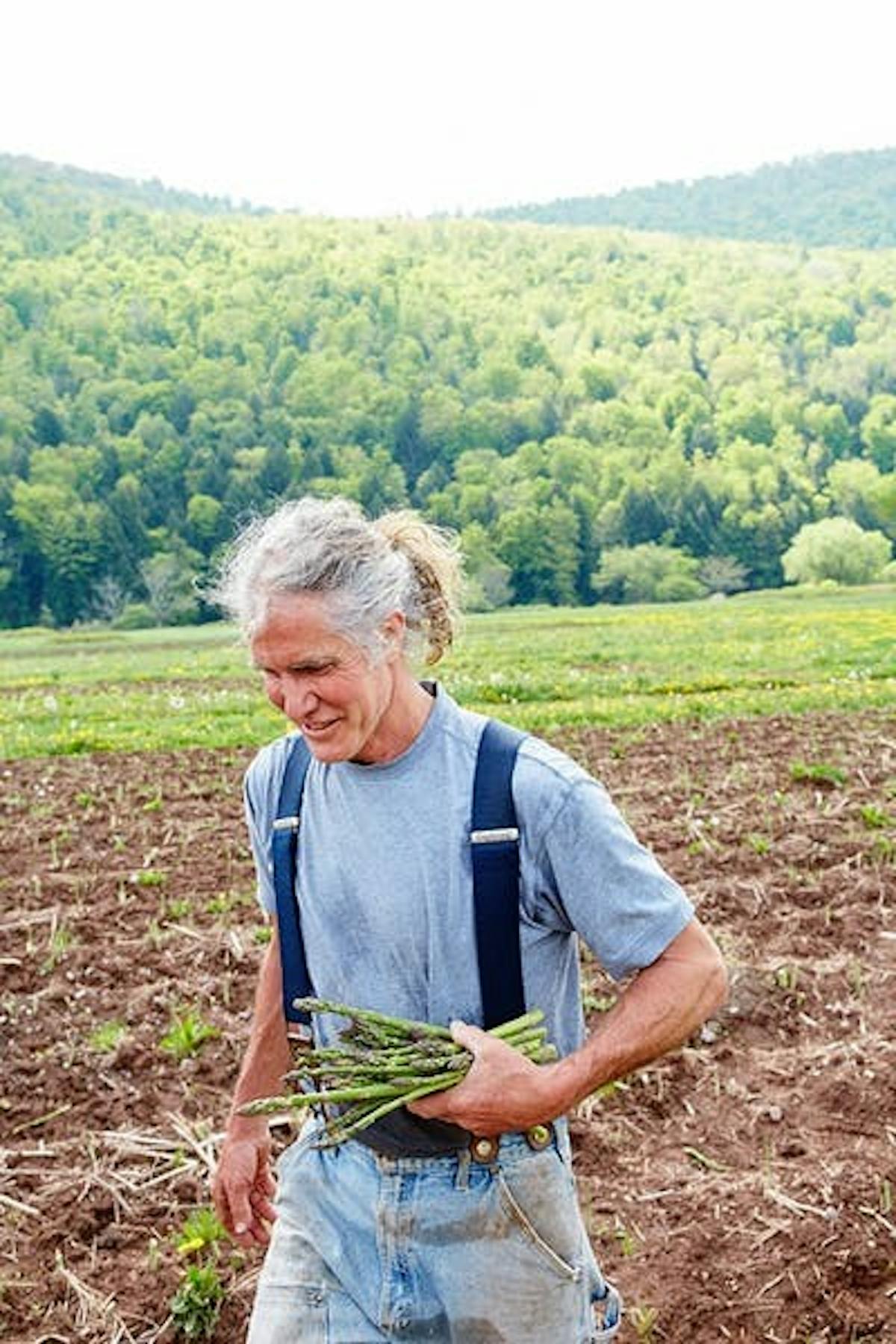 a farmer walking through a field of vegetable beds holding a bunch of asparagus