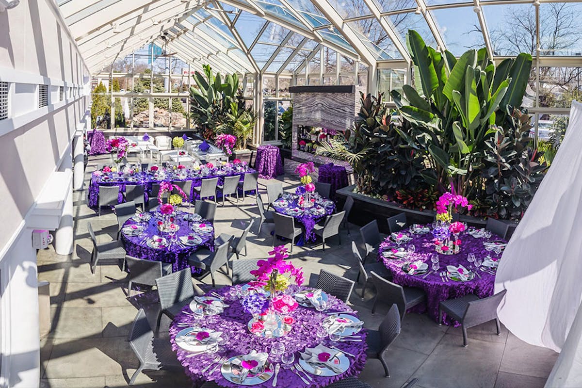 a group of purple flowers on a table