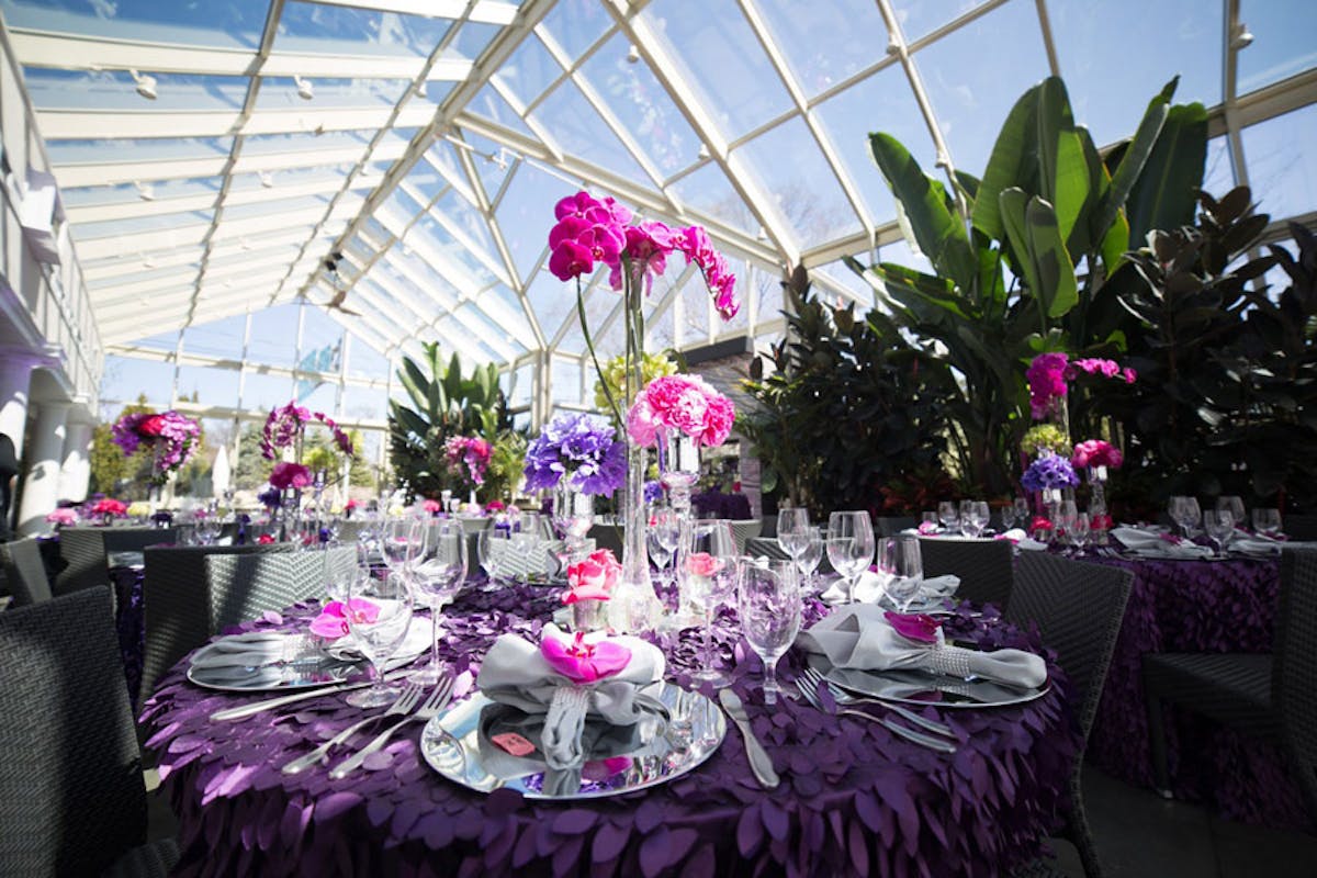 a vase filled with purple flowers on a table