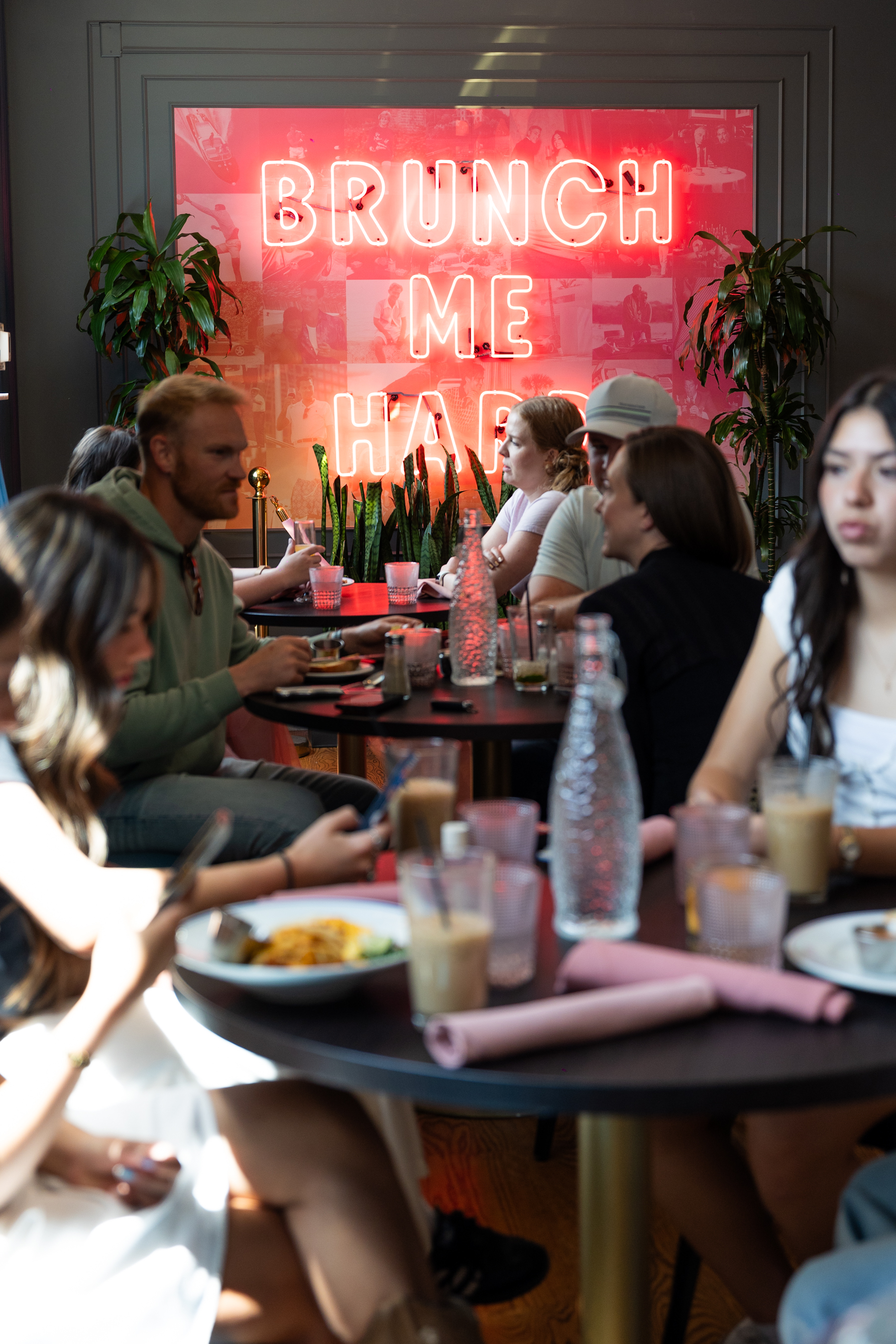 guests brunching hard