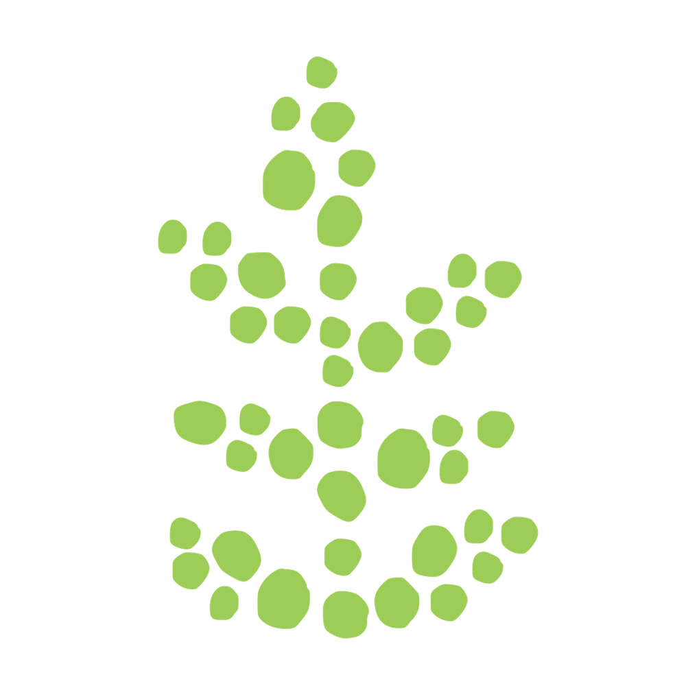 a close up of a logo