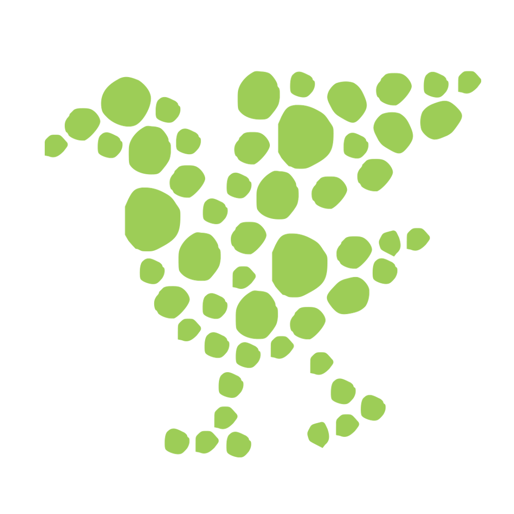 a close up of a logo