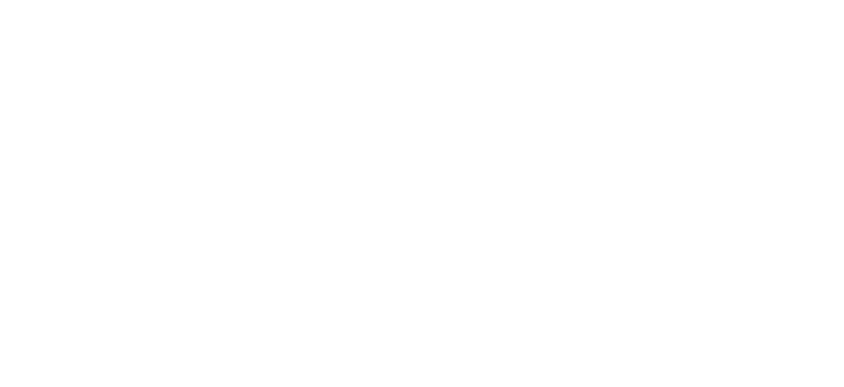 bourbon steak logo