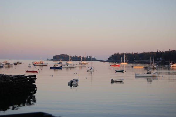tenants harbor