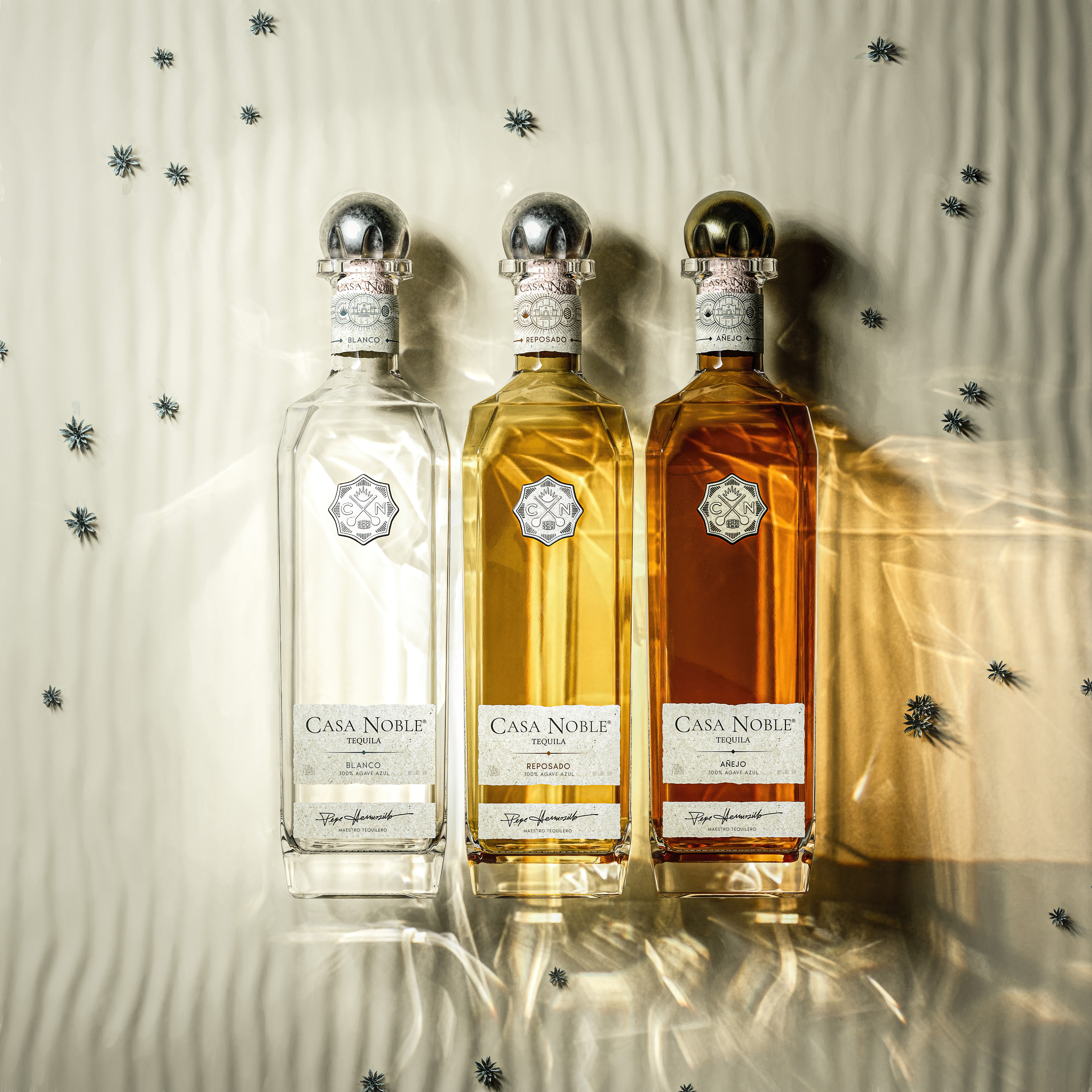 The Noble Canvas Experience with Pepe Hermosillo | Torali