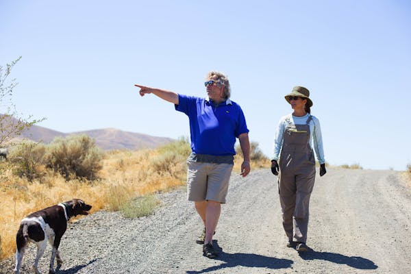 a man and a dog walking on a dirt road