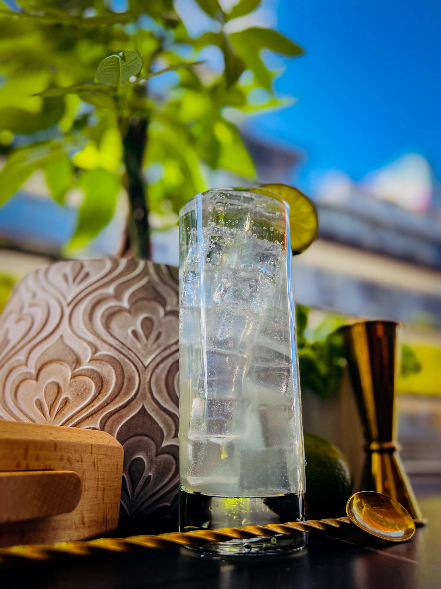 gin and tonic a vase of flowers on a table