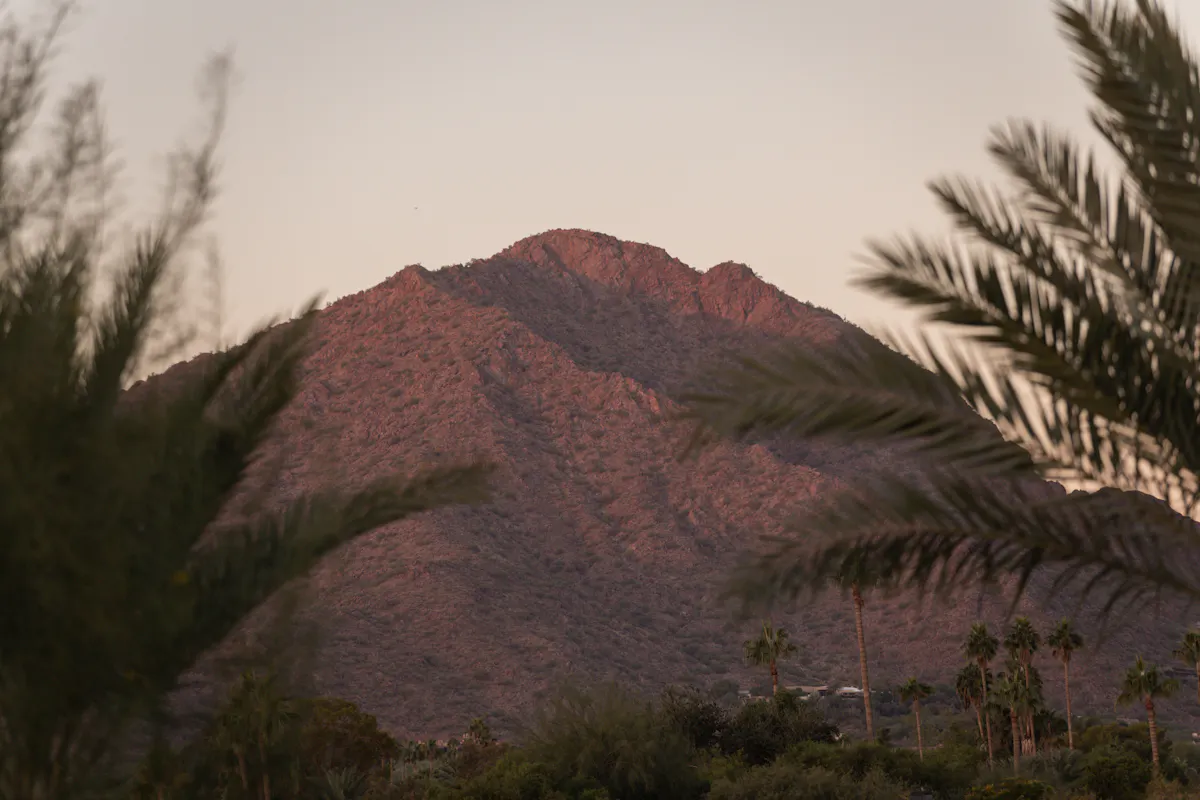 a mountain with palm trees and bushes
