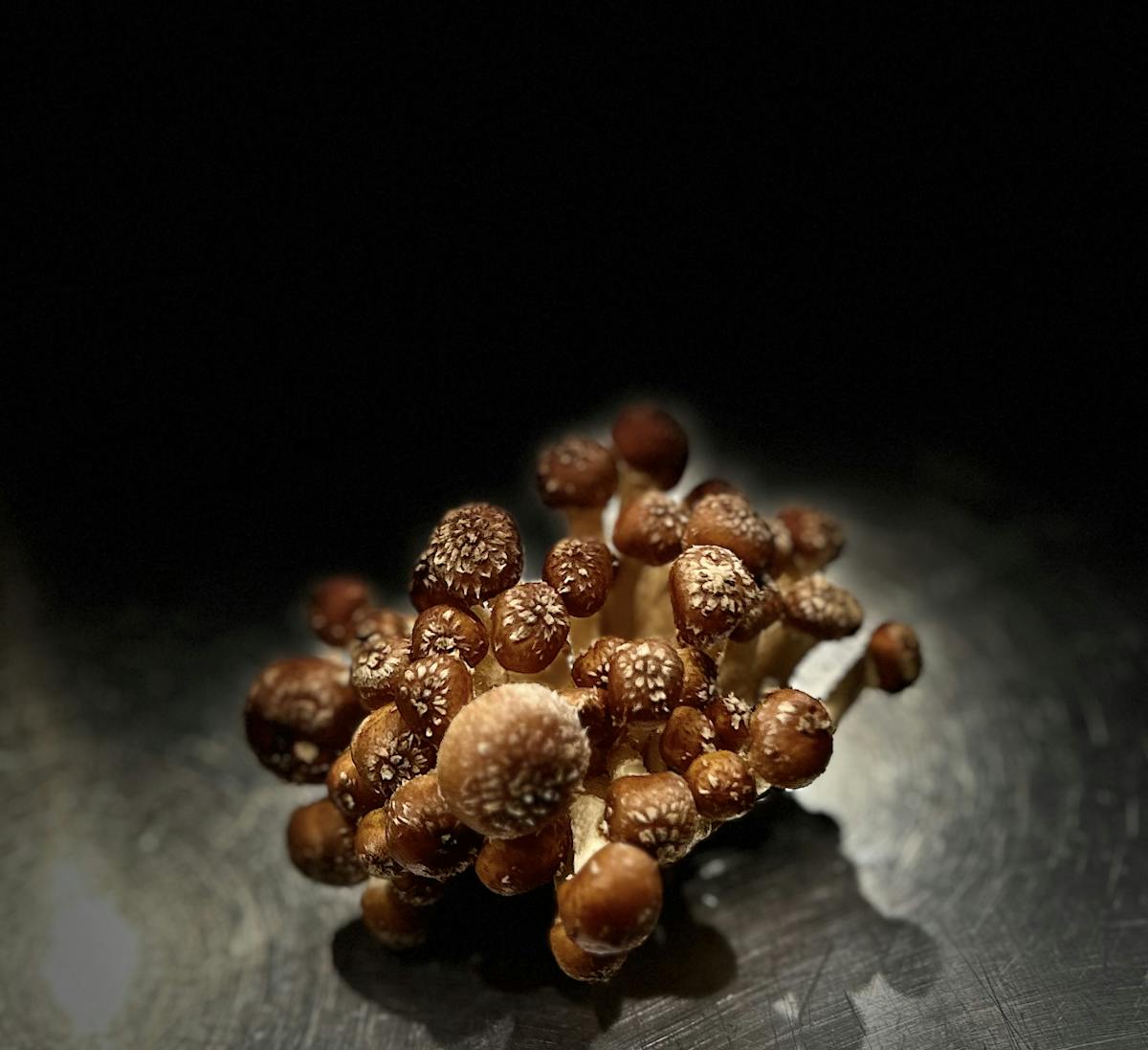 a close up of food