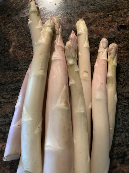 white asparagus