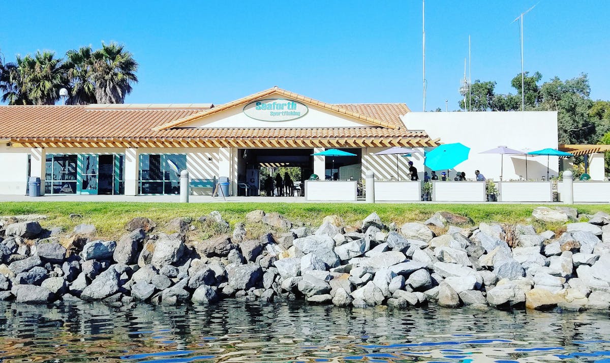 a flock of seagulls are standing in front of a building