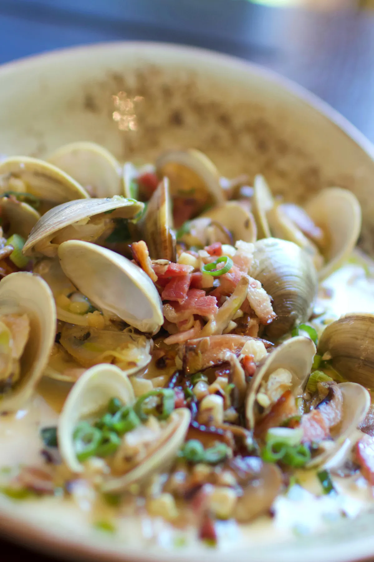 clams