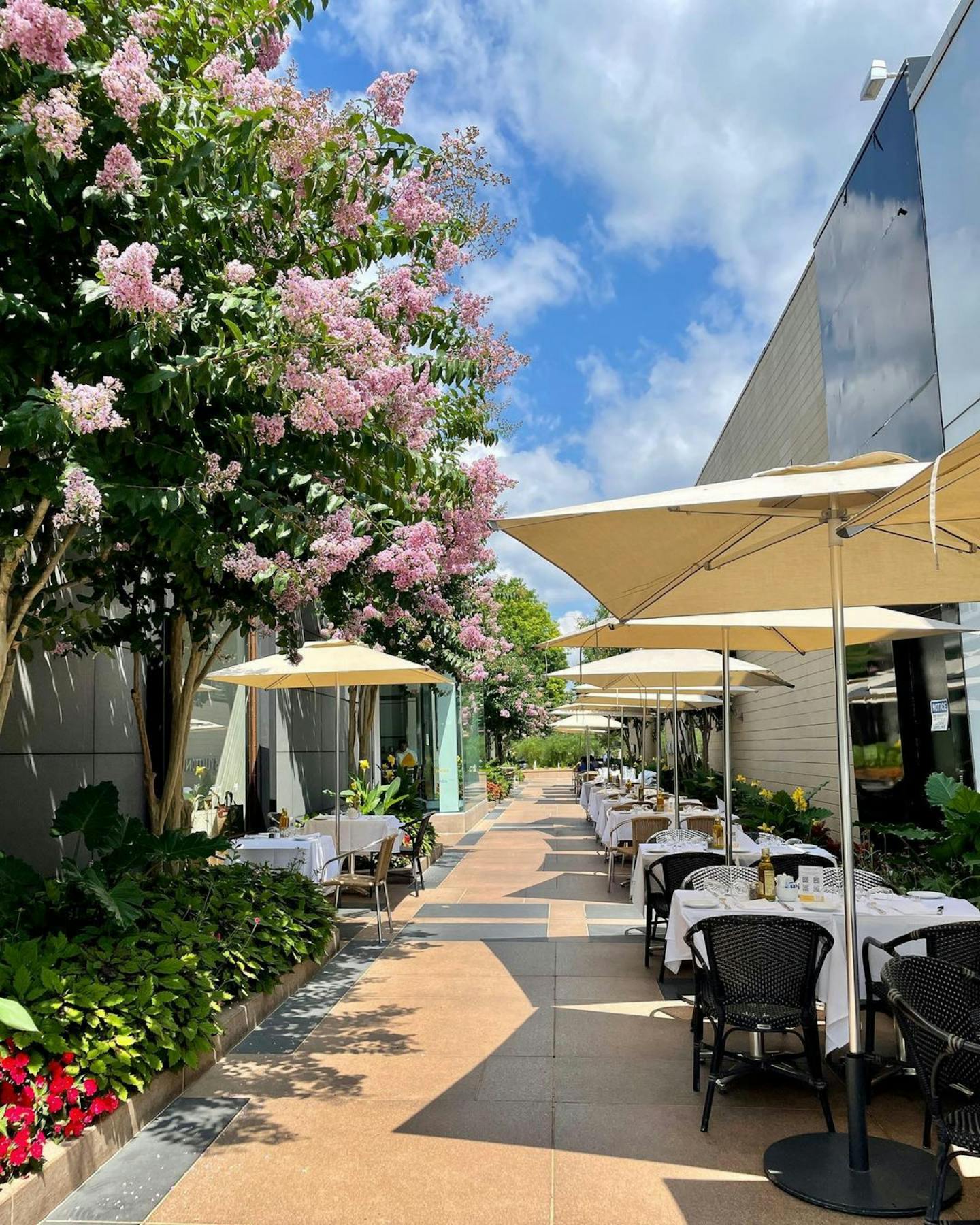 Cipollini Restaurant Manhasset - lnhwctm