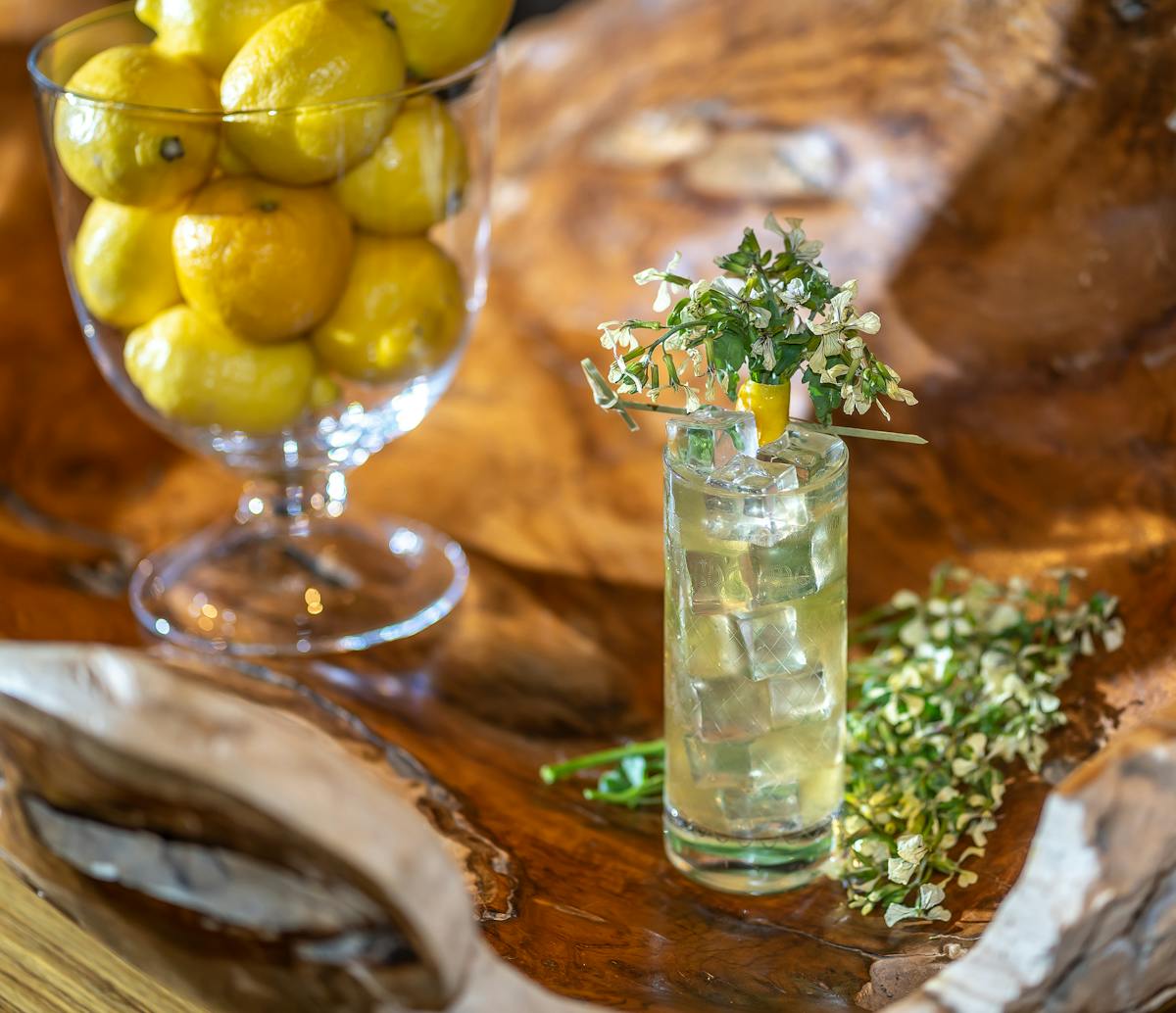a drink on a bar