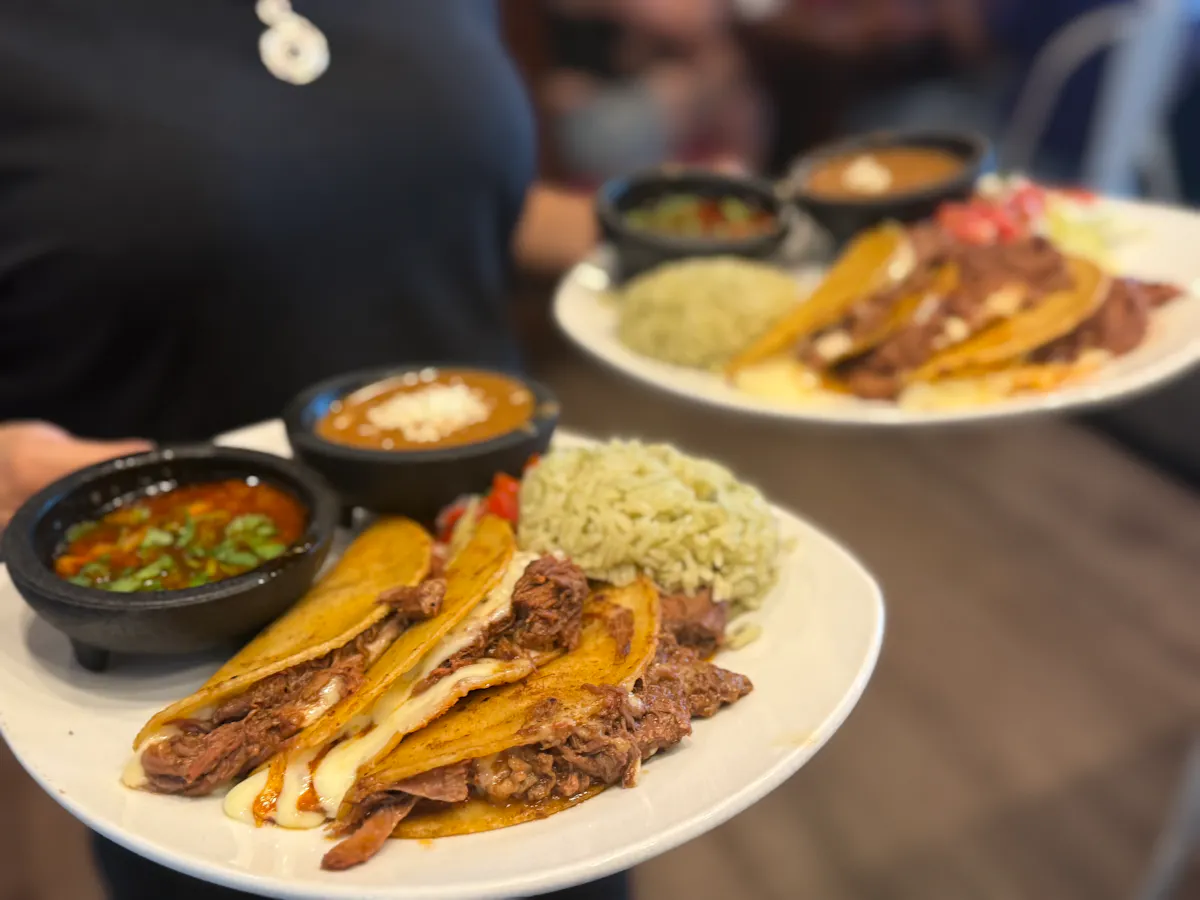 Birria taco plater 