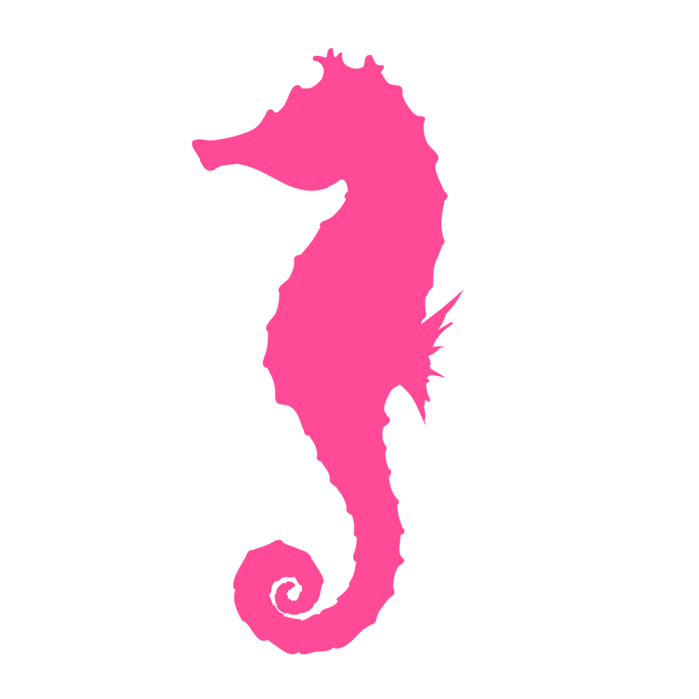 a close up of a flower