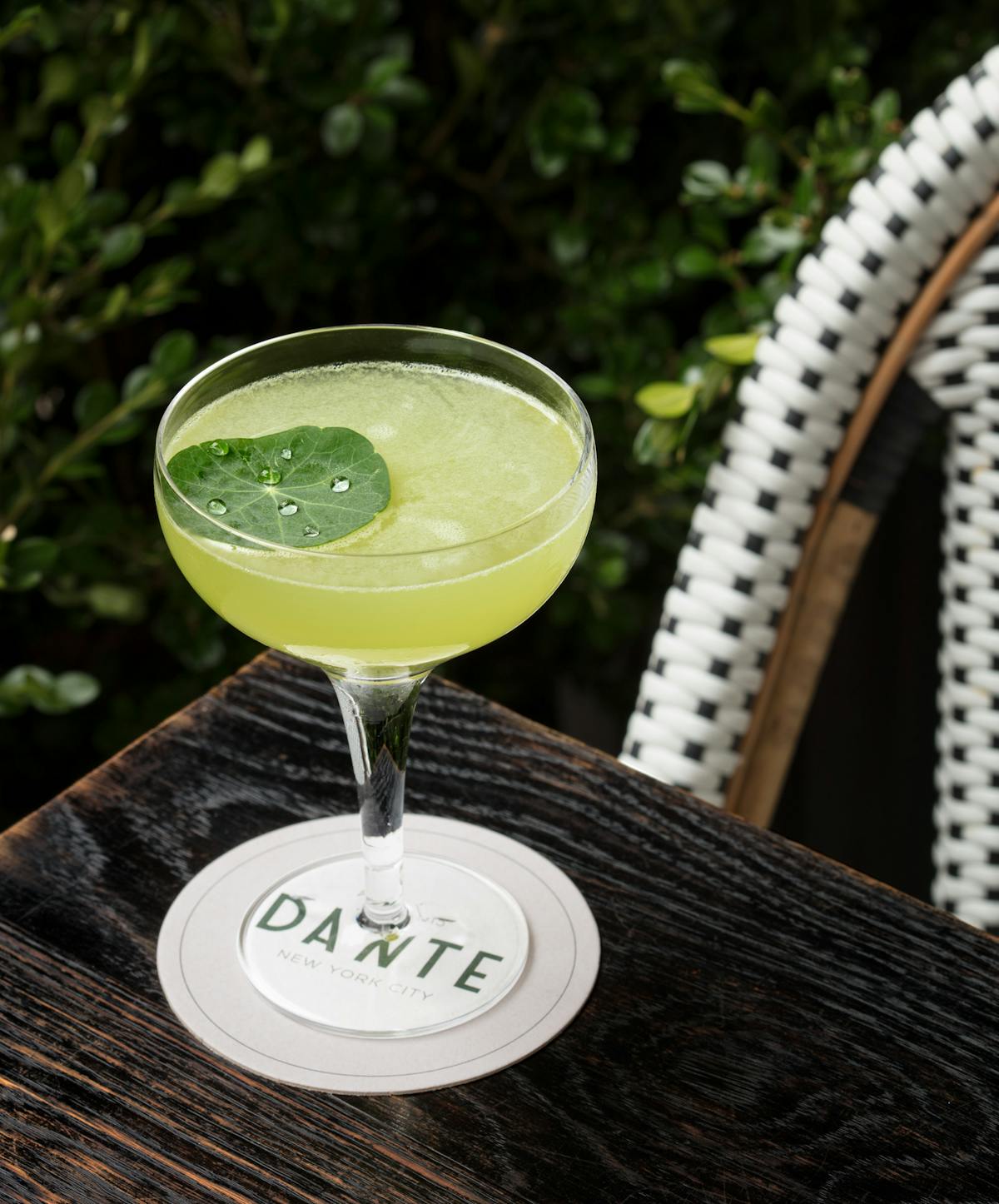 a cocktail