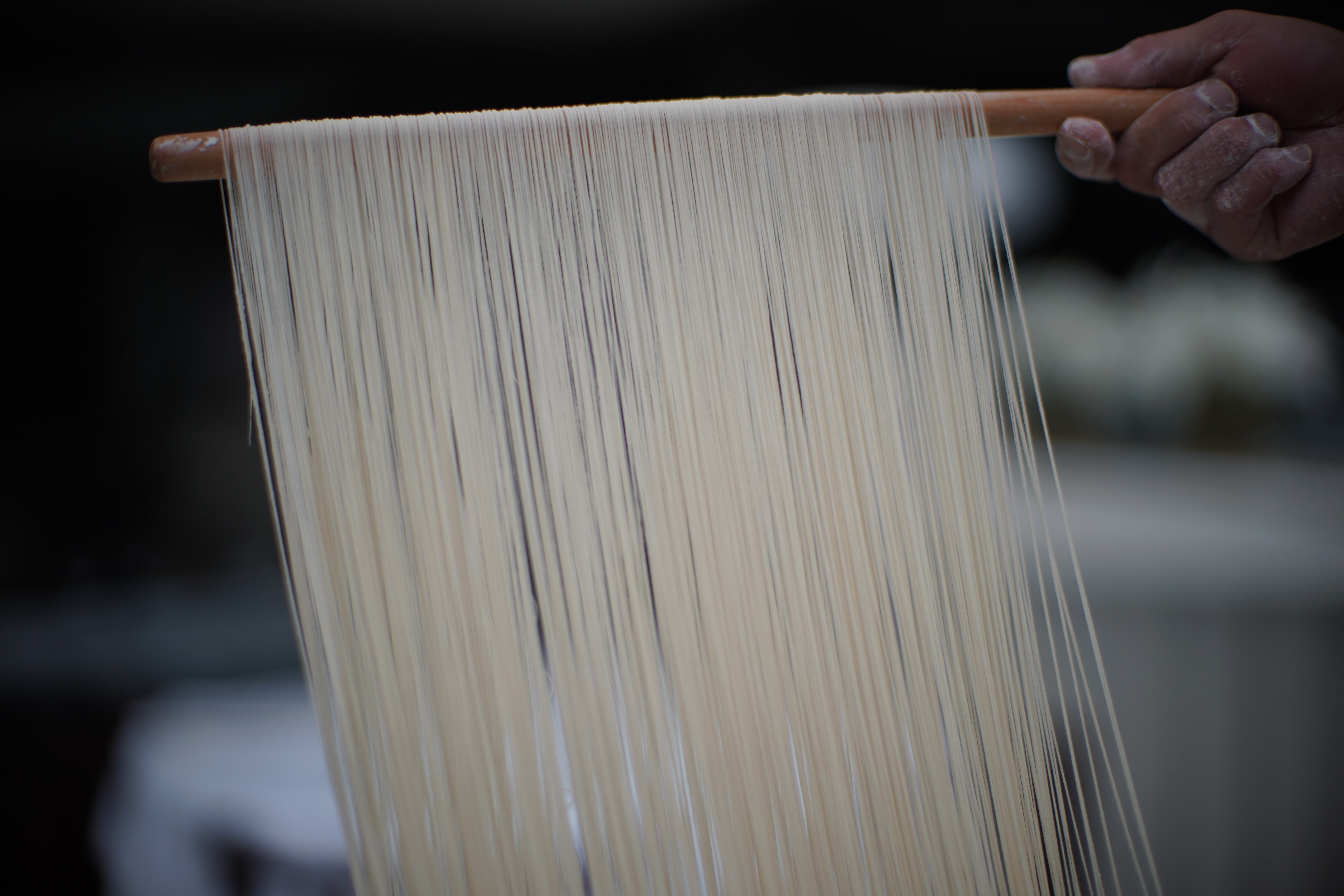 Mr Chow Noodles