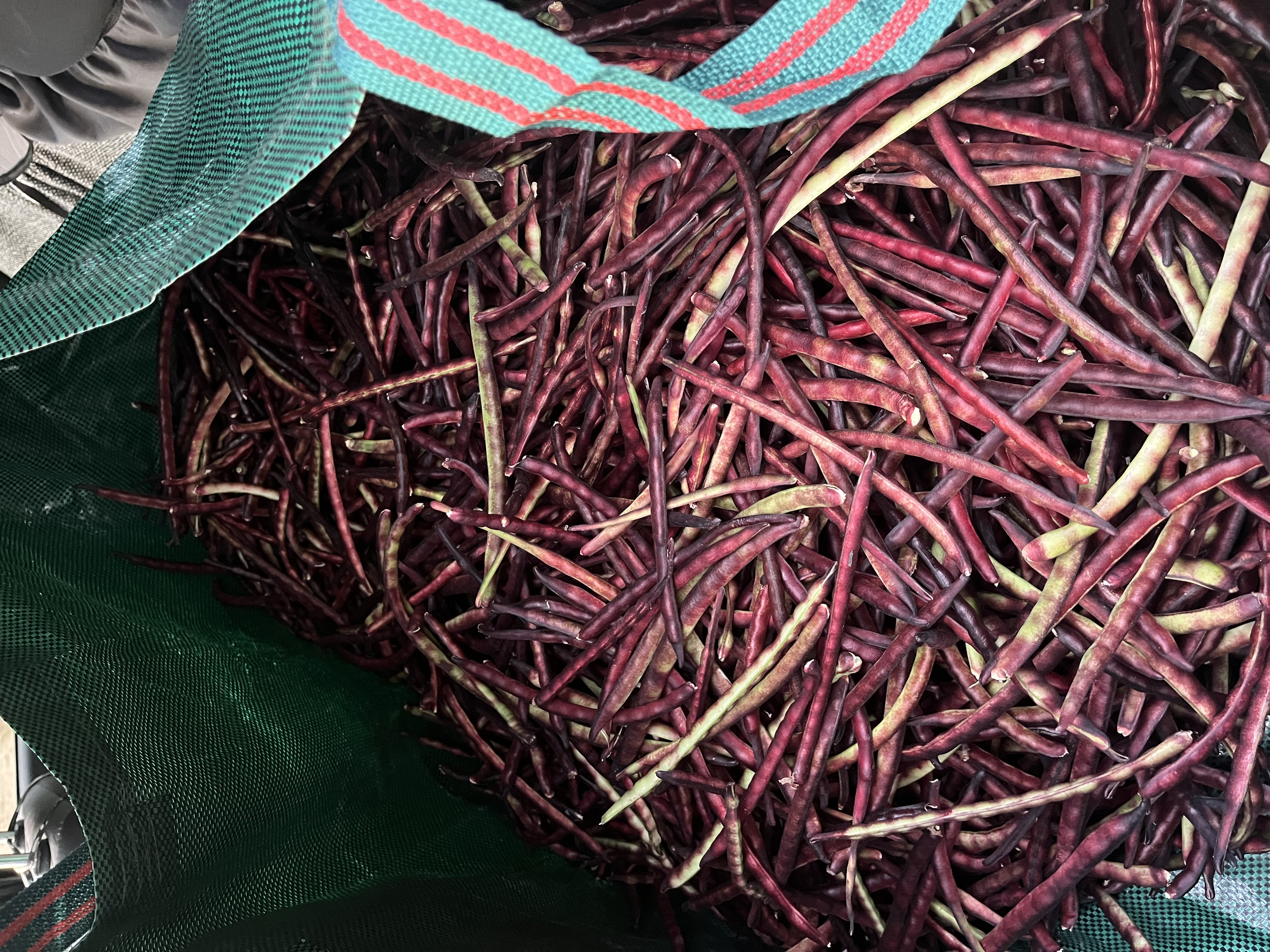 a bag of beans
