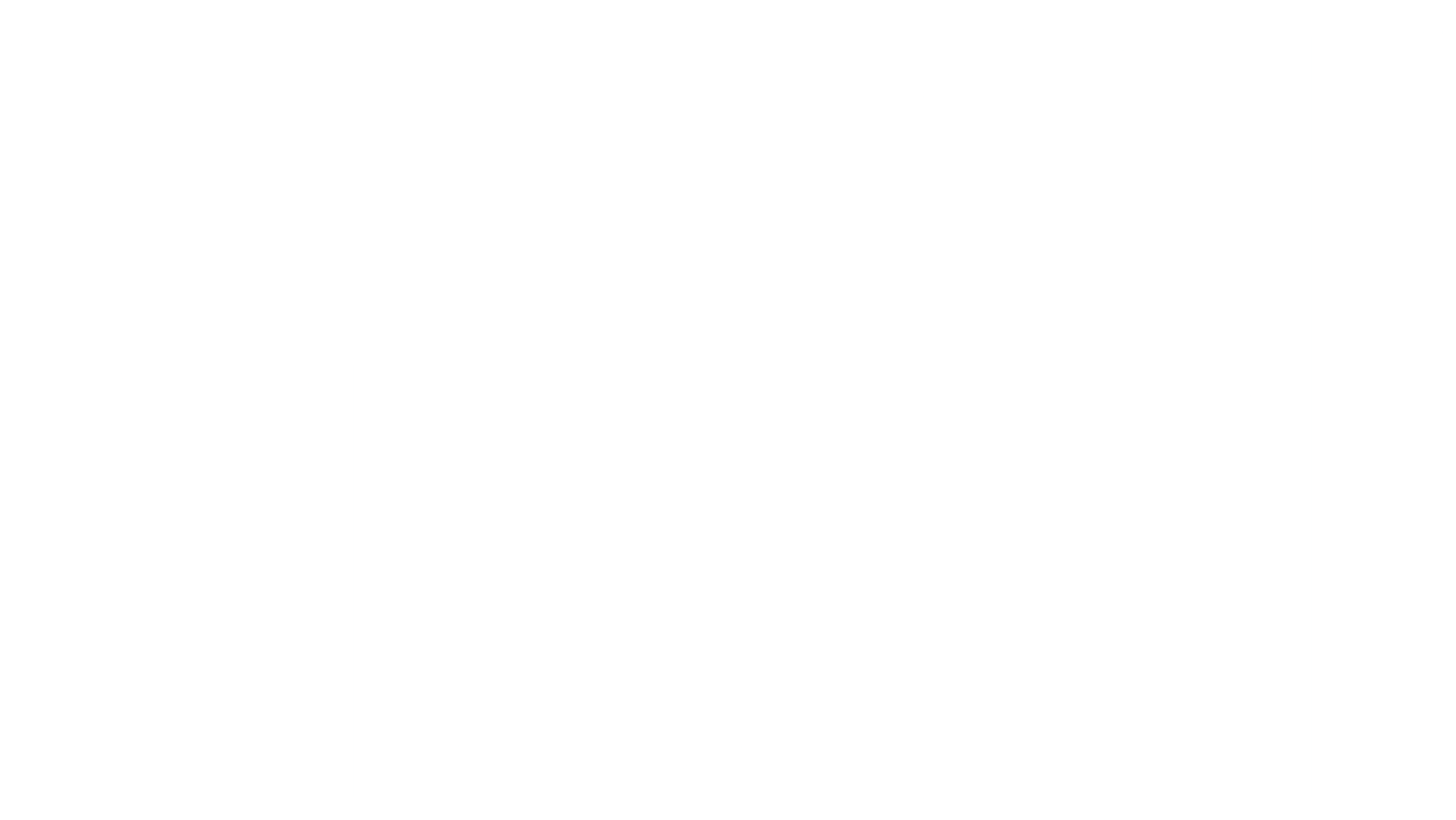 Crown Shy Logo