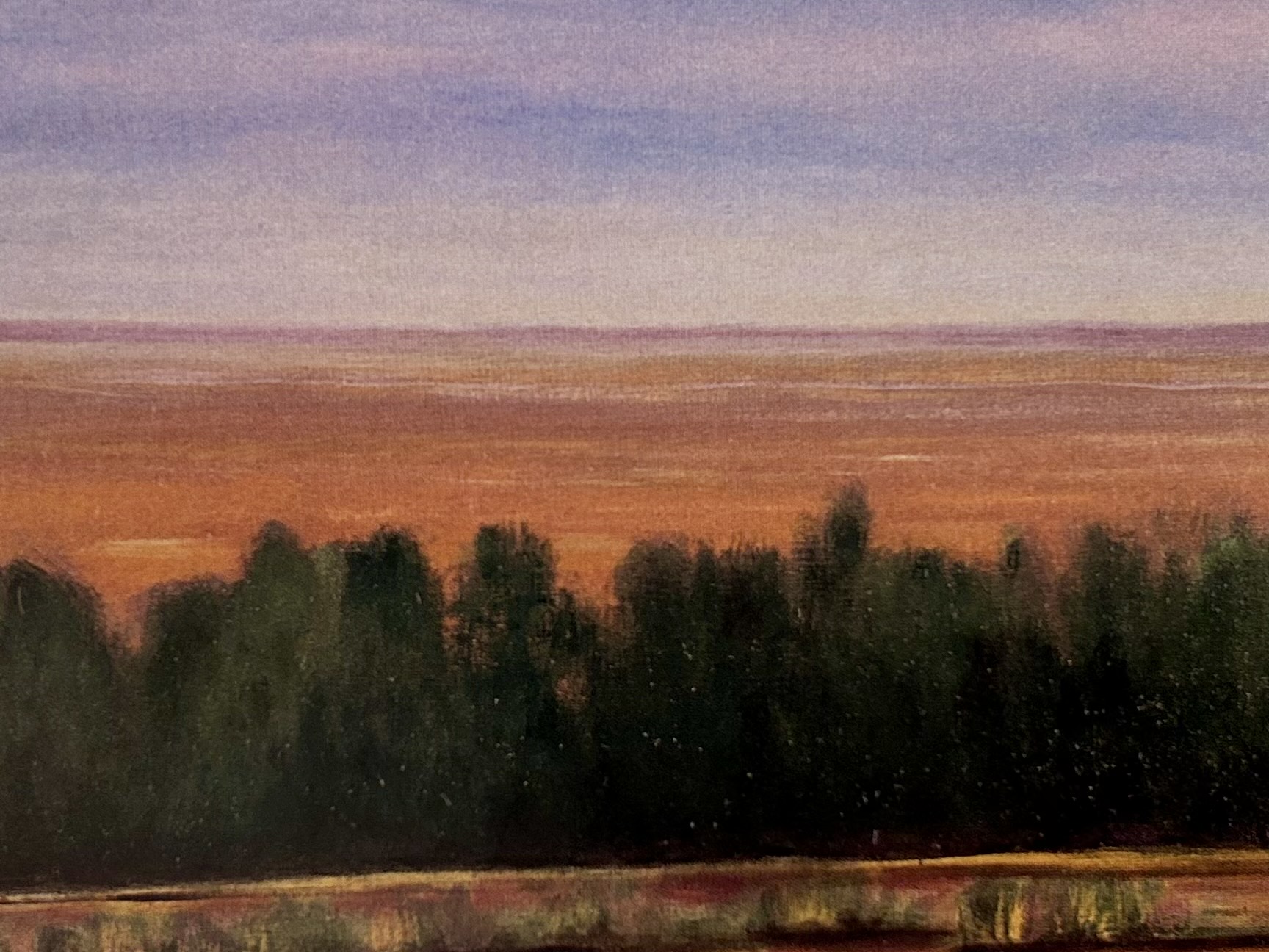 a field of tall grass