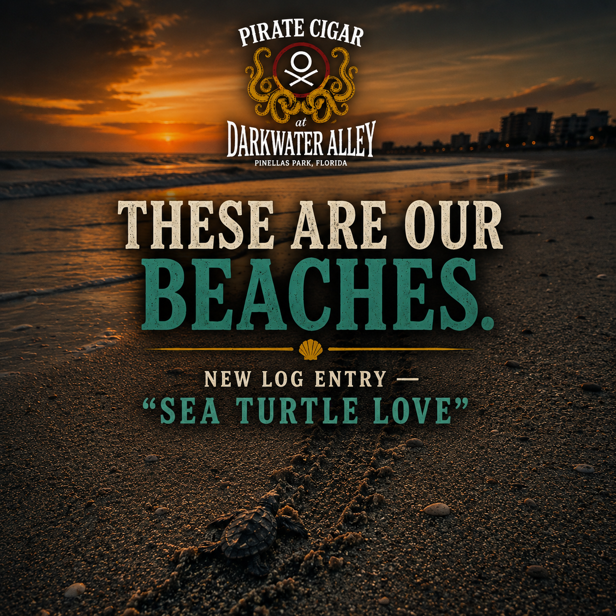 Sea turtle nesting season on the Gulf beaches - 