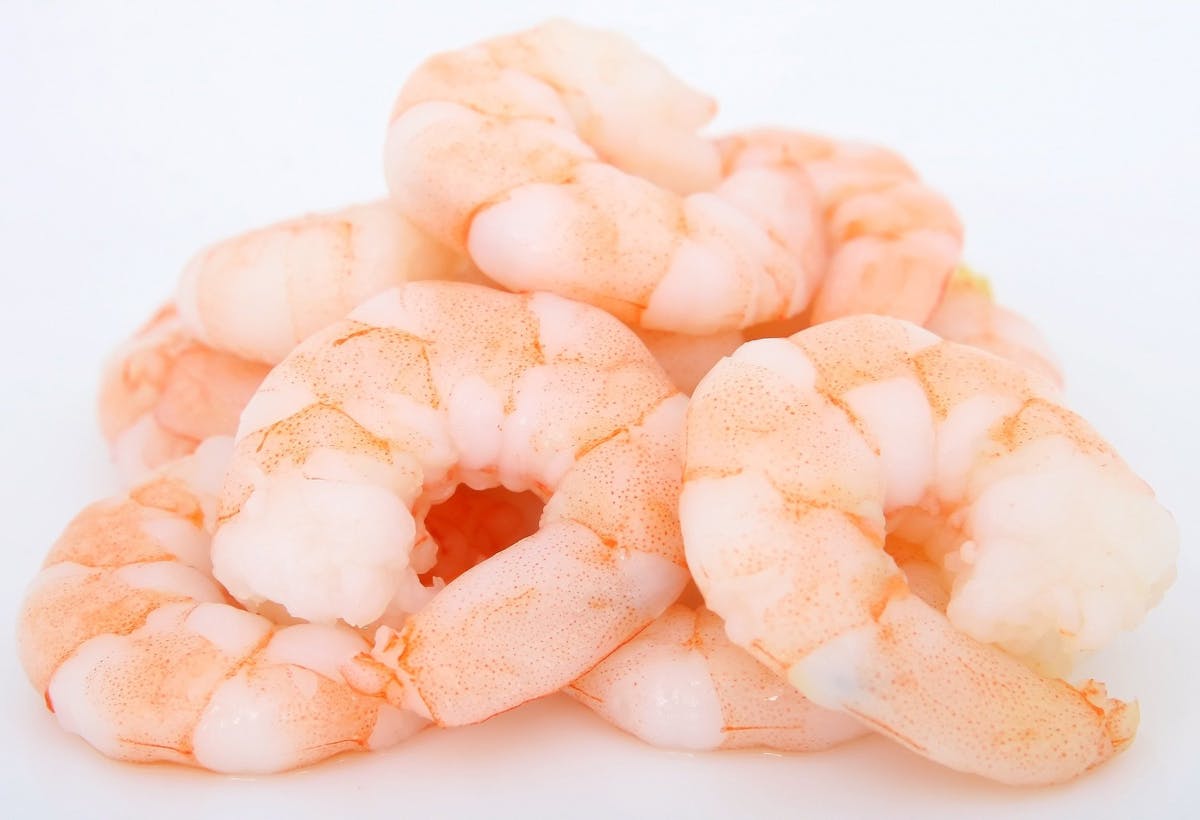 a close up of shrimp