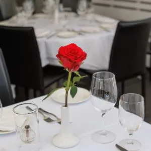 a rose in a vase on a table