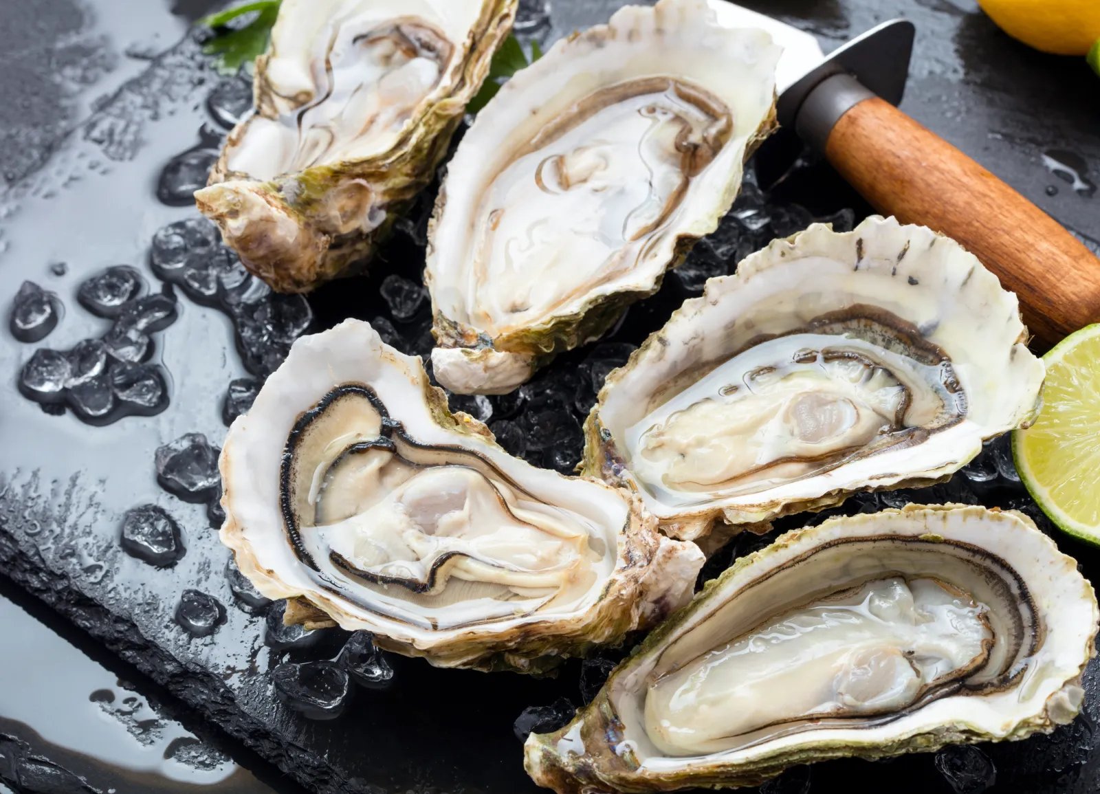 Fresh oysters in half shells on ice with a lime wedge and oyster knife.