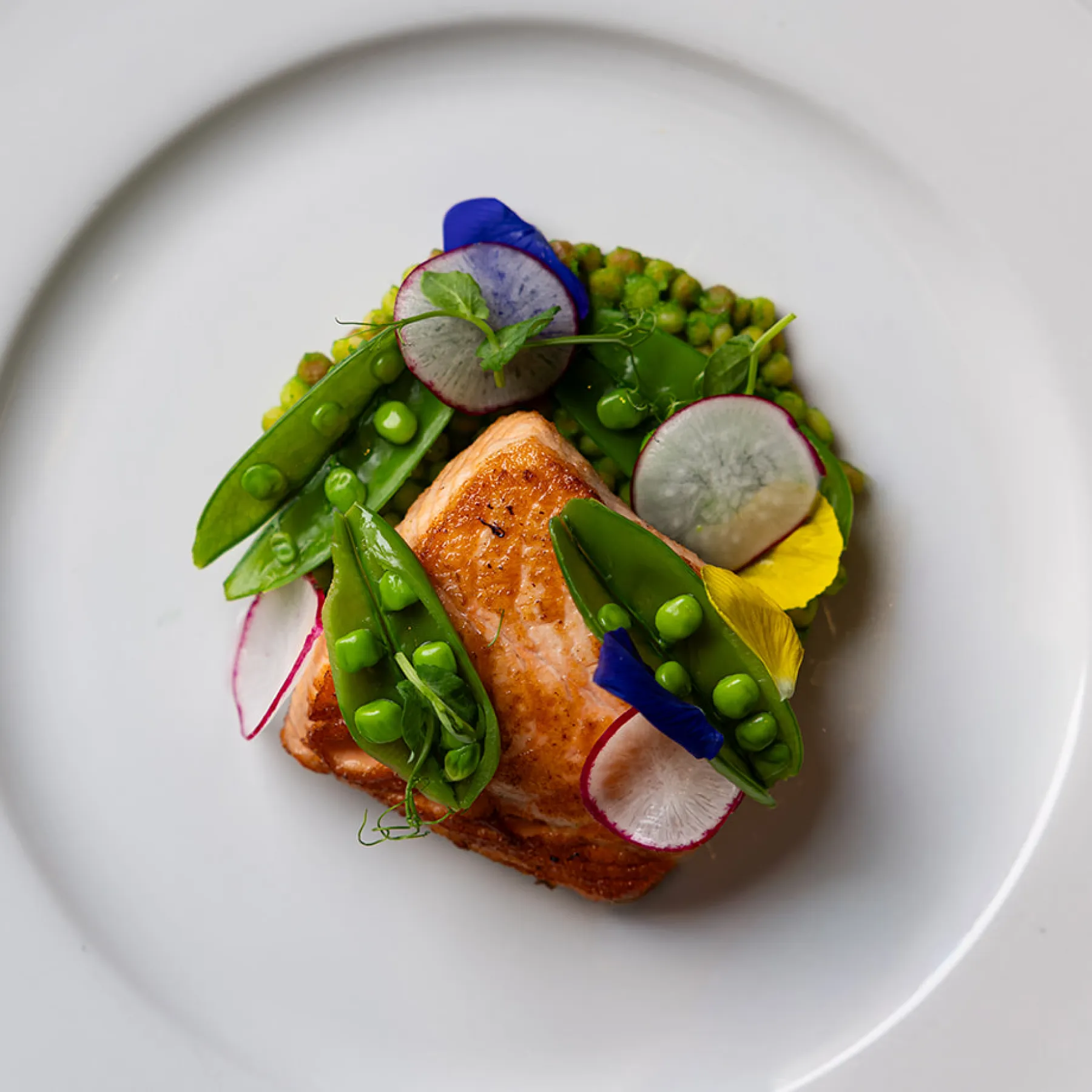 Two people toasting with cocktails over a table set with gourmet sandwiches and appetizers at The Vermilion Club.