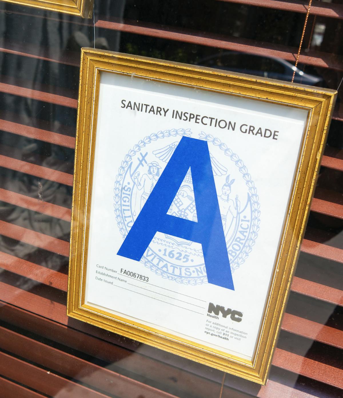 A Letter grade
